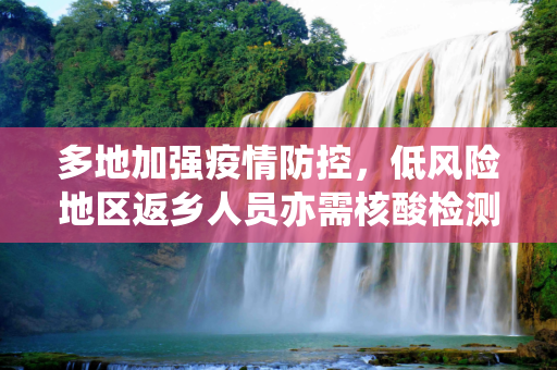 多地加强疫情防控，低风险地区返乡人员亦需核酸检测,多地要求低风险地区返乡也需核检