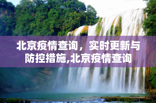 北京疫情查询，实时更新与防控措施,北京疫情查询