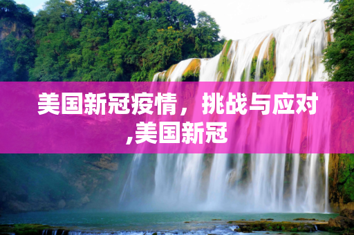 美国新冠疫情，挑战与应对,美国新冠