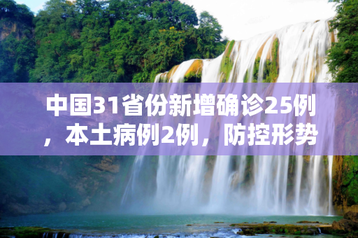 中国31省份新增确诊25例，本土病例2例，防控形势依然严峻,31省份新增确诊25例本土2例