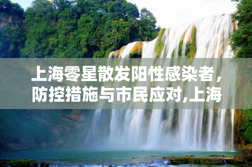 上海零星散发阳性感染者，防控措施与市民应对,上海出现零星散发阳性感染者