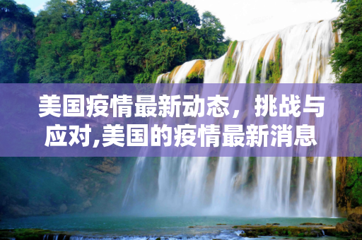 美国疫情最新动态，挑战与应对,美国的疫情最新消息