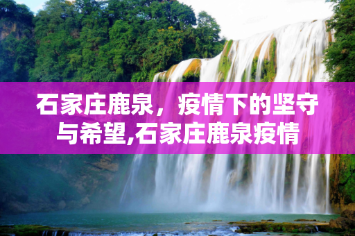 石家庄鹿泉，疫情下的坚守与希望,石家庄鹿泉疫情