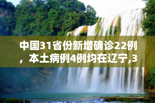 中国31省份新增确诊22例，本土病例4例均在辽宁,31省份新增确诊22例本土4例在辽宁