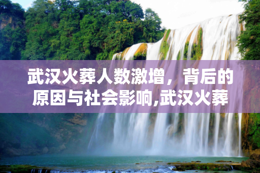 武汉火葬人数激增，背后的原因与社会影响,武汉火葬人数激增