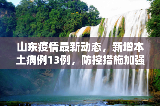 山东疫情最新动态，新增本土病例13例，防控措施加强,山东新增本土13例