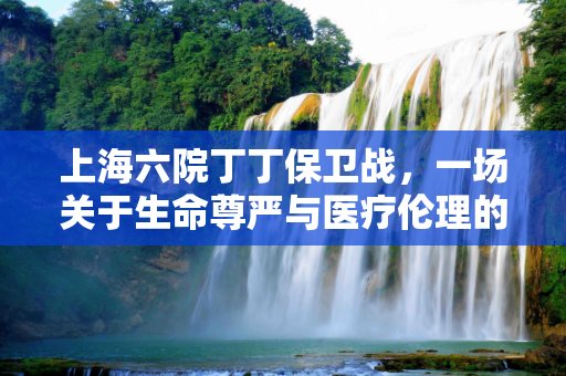 上海六院丁丁保卫战，一场关于生命尊严与医疗伦理的较量,上海六院丁丁保卫战