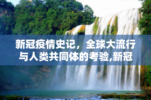 新冠疫情史记，全球大流行与人类共同体的考验,新冠疫情史记