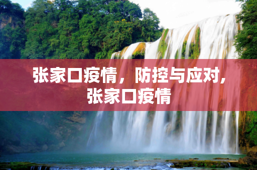 张家口疫情，防控与应对,张家口疫情
