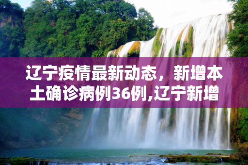 辽宁疫情最新动态，新增本土确诊病例36例,辽宁新增本土确诊36例
