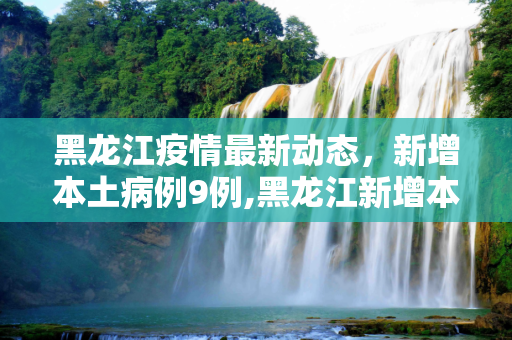 黑龙江疫情最新动态，新增本土病例9例,黑龙江新增本土9例
