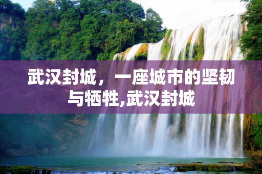 武汉封城，一座城市的坚韧与牺牲,武汉封城