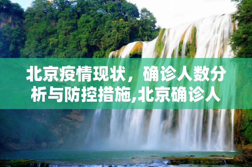 北京疫情现状，确诊人数分析与防控措施,北京确诊人数