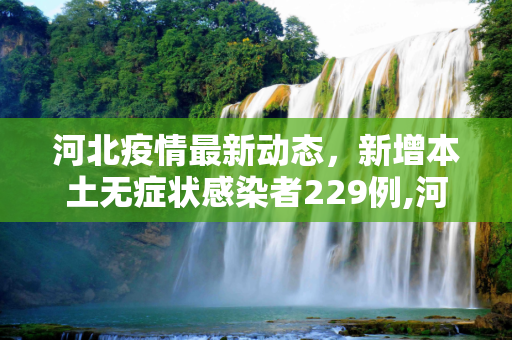 河北疫情最新动态，新增本土无症状感染者229例,河北新增本土无症状229例
