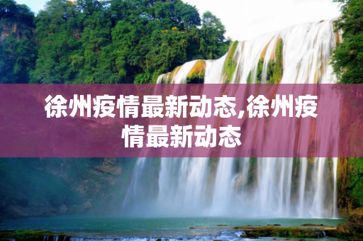 徐州疫情最新动态,徐州疫情最新动态