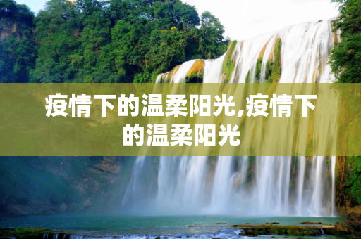 疫情下的温柔阳光,疫情下的温柔阳光