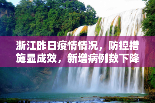 浙江昨日疫情情况，防控措施显成效，新增病例数下降,浙江昨日疫情情况