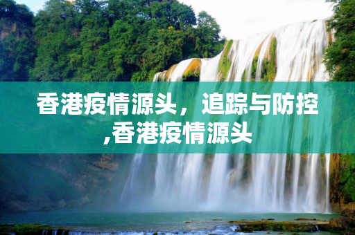 香港疫情源头，追踪与防控,香港疫情源头