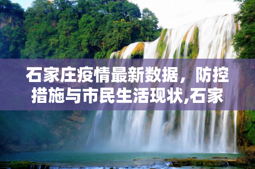 石家庄疫情最新数据，防控措施与市民生活现状,石家庄疫情最新数据