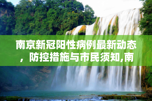 南京新冠阳性病例最新动态，防控措施与市民须知,南京新冠阳性最新消息