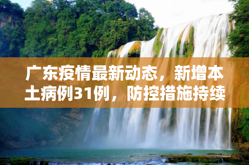 广东疫情最新动态，新增本土病例31例，防控措施持续加强,广东新增本土31例