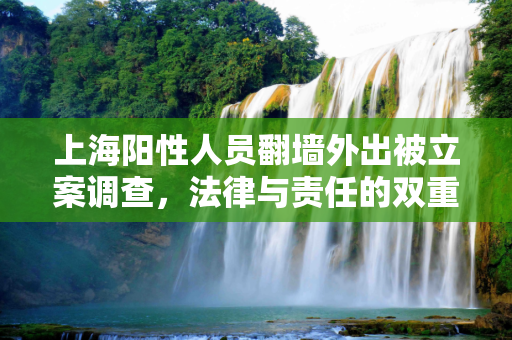 上海阳性人员翻墙外出被立案调查，法律与责任的双重审视,上海阳性人员翻墙外出被立案调查