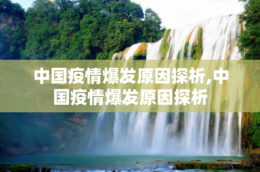 中国疫情爆发原因探析,中国疫情爆发原因探析