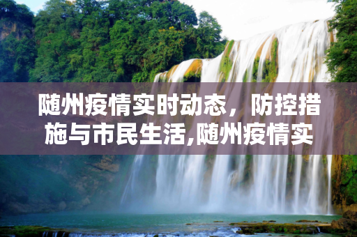 随州疫情实时动态，防控措施与市民生活,随州疫情实时动态