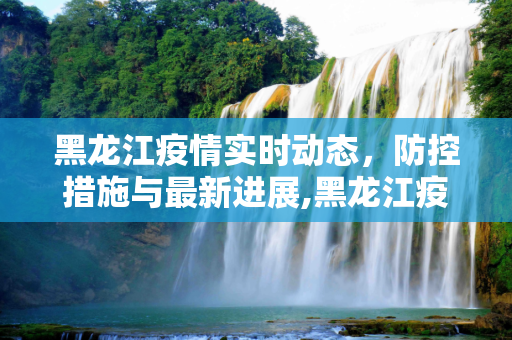 黑龙江疫情实时动态，防控措施与最新进展,黑龙江疫情实时动态
