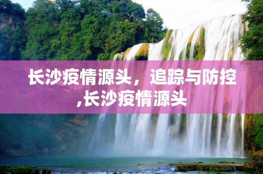长沙疫情源头，追踪与防控,长沙疫情源头