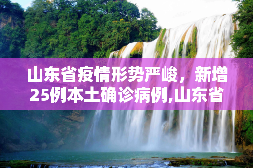 山东省疫情形势严峻，新增25例本土确诊病例,山东省新增25例本土确诊