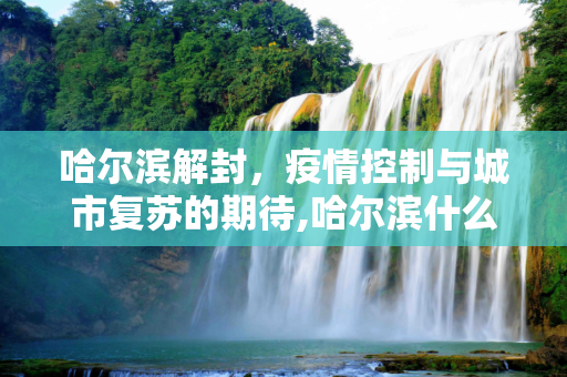 哈尔滨解封，疫情控制与城市复苏的期待,哈尔滨什么时候解封