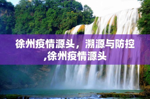 徐州疫情源头，溯源与防控,徐州疫情源头