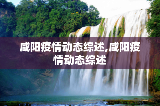 咸阳疫情动态综述,咸阳疫情动态综述