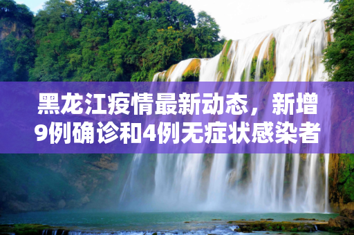 黑龙江疫情最新动态，新增9例确诊和4例无症状感染者,黑龙江新增9例确诊4例无症状