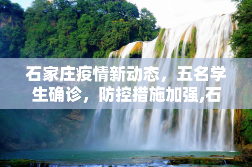 石家庄疫情新动态，五名学生确诊，防控措施加强,石家庄最新确诊5人均为学生