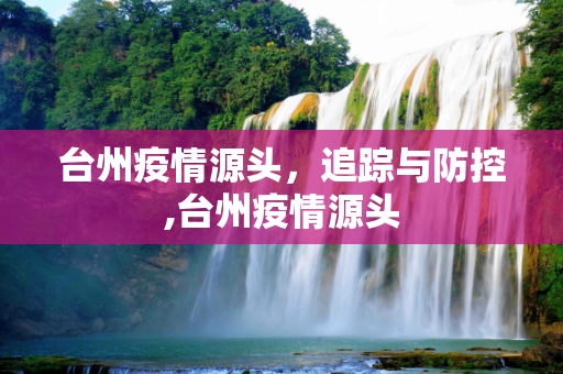 台州疫情源头，追踪与防控,台州疫情源头