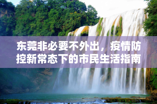东莞非必要不外出，疫情防控新常态下的市民生活指南,东莞非必要不外出