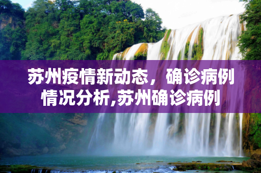 苏州疫情新动态，确诊病例情况分析,苏州确诊病例