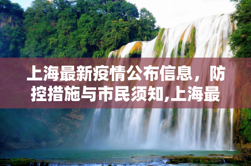 上海最新疫情公布信息，防控措施与市民须知,上海最新疫情公布信息