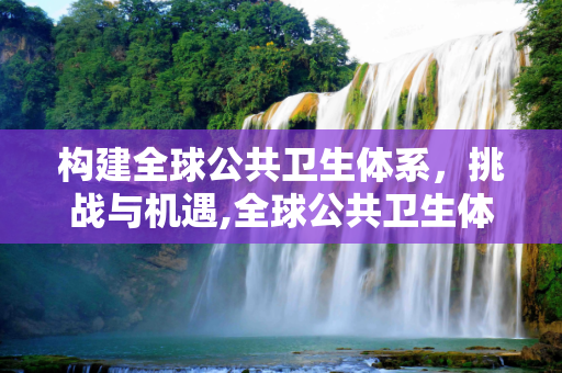 构建全球公共卫生体系，挑战与机遇,全球公共卫生体系