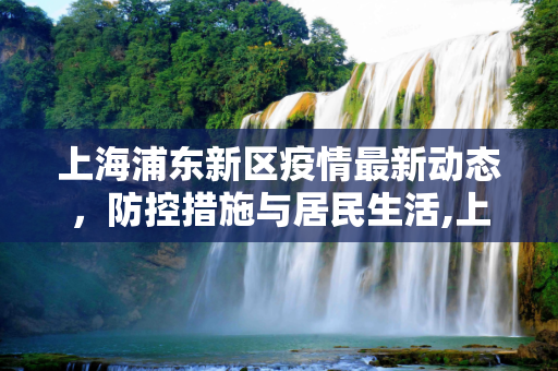 上海浦东新区疫情最新动态，防控措施与居民生活,上海浦东新区疫情最新消息