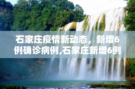 石家庄疫情新动态，新增6例确诊病例,石家庄新增6例确诊