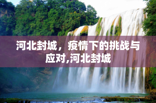 河北封城，疫情下的挑战与应对,河北封城