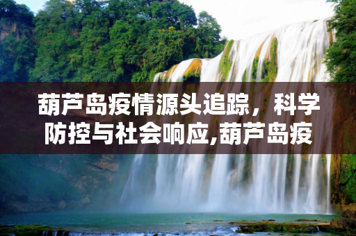 葫芦岛疫情源头追踪，科学防控与社会响应,葫芦岛疫情源头