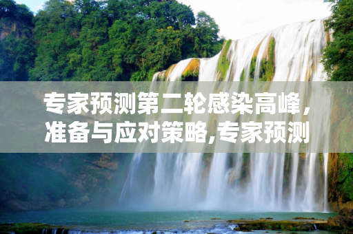 专家预测第二轮感染高峰，准备与应对策略,专家预测第二轮感染高峰