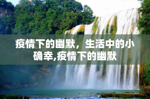 疫情下的幽默，生活中的小确幸,疫情下的幽默