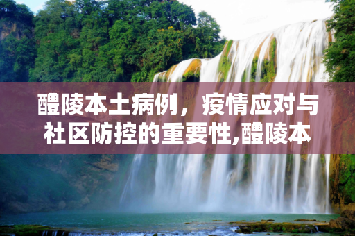 醴陵本土病例，疫情应对与社区防控的重要性,醴陵本土病例