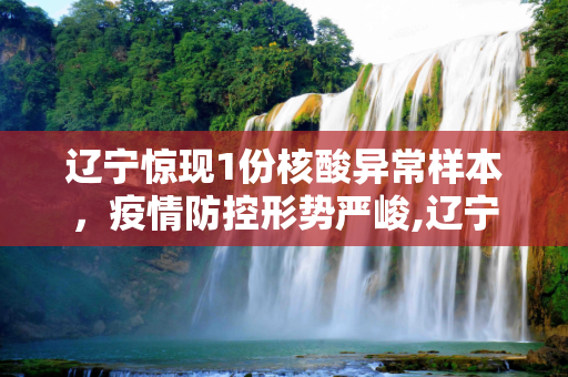辽宁惊现1份核酸异常样本，疫情防控形势严峻,辽宁现1份核酸异常