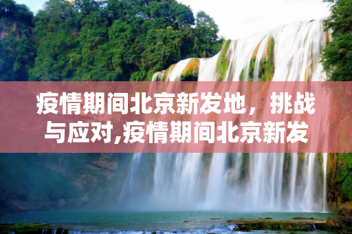 疫情期间北京新发地，挑战与应对,疫情期间北京新发地